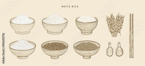Illustration of various white rice types in bowls, with chopsticks, spoons & grain bundles