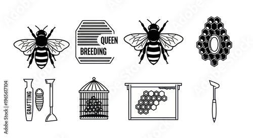 Beekeeping Icons: Bee, Honeycomb, Queen Breeding, Cage, Frame, Tools