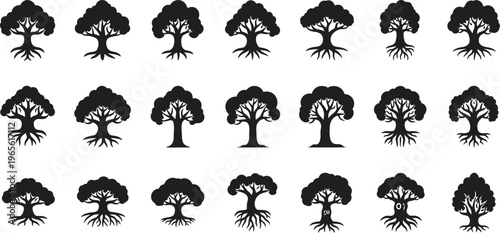 Tree icons set: oak, maple, forest, nature, growth, seasons, life cycle