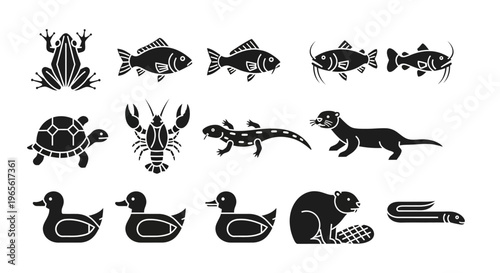 Variety of aquatic and semi aquatic animals.