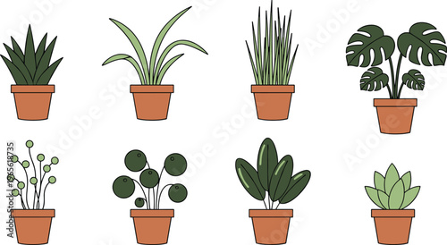 Modern indoor houseplant collection featuring monstera snake plant and succulents in terracotta pots flat vector