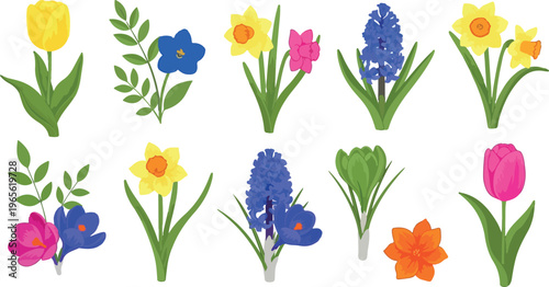 Spring flower vector collection, colorful garden blossoms set with tulips and daffodils, flat floral design elements for seasonal greeting cards