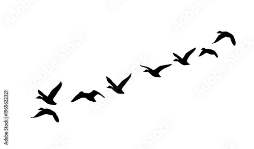 Decorative flying duck silhouette pattern vector curved flock birds minimal wildlife illustration isolated on white