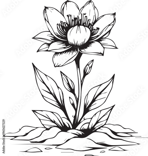 A detailed, artistic illustration of a graceful flower in full bloom, showcasing intricate details of petals and leaves.