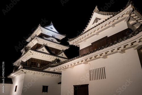夜の大洲城の風景（大洲市）