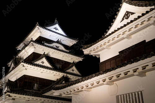 夜の大洲城の風景（大洲市）