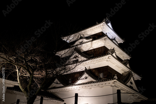夜の大洲城の風景（大洲市）