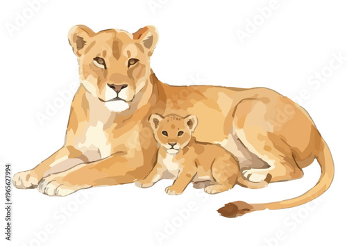 Watercolor-style majestic lion illustration, king of beasts, african wildlife safari animal／水彩　ライオン