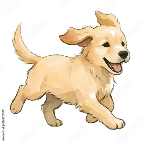 Golden retriever puppy and dog with bone sitting happily isolated on white background