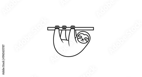 Sloth hanging from a branch slowly.