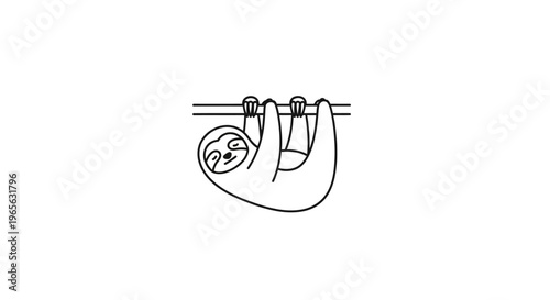 Sloth hanging from a branch slowly.