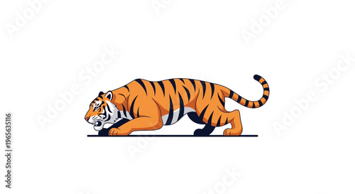 Tiger in motion walking forward slowly.