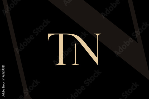 TN or NT letter logo icon design. Classic style luxury initials monogram.