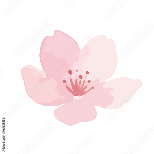 Watercolor-style lovely cherry blossom flowers, sakura spring botanical illustration, pink and white／水彩　桜