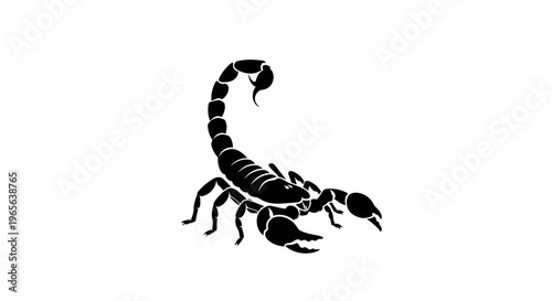 Black silhouette of a scorpion insect.