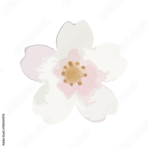 Watercolor-style lovely cherry blossom flowers, sakura spring botanical illustration, pink and white／水彩　桜