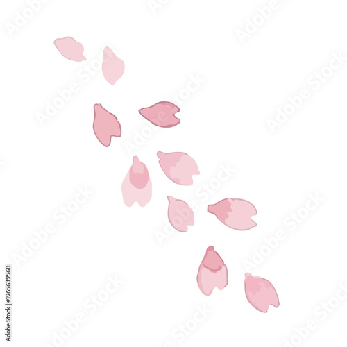 Watercolor-style lovely cherry blossom flowers, sakura spring botanical illustration, pink and white／水彩　桜