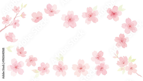 Watercolor-style lovely cherry blossom flowers, sakura spring botanical illustration, pink and white／水彩　桜