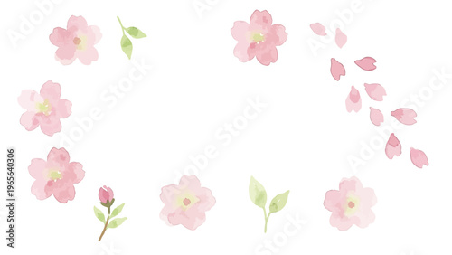 Watercolor-style lovely cherry blossom flowers, sakura spring botanical illustration, pink and white／水彩　桜