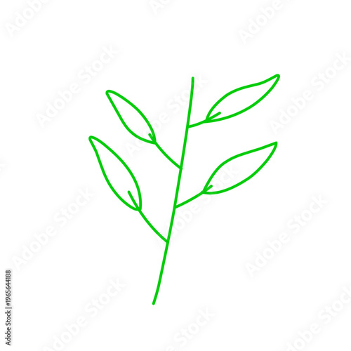 Hand drawn leaf line 