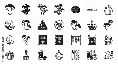Black and White Line Art Icons of Mushrooms and Foraging Gear