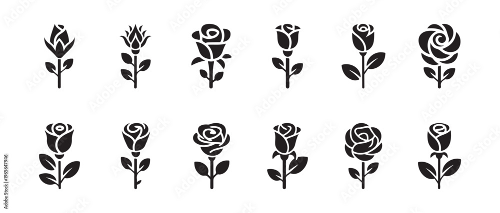 Fototapeta premium Twelve beautiful black silhouette rose flowers in various stages of bloom vector graphic illustration elements