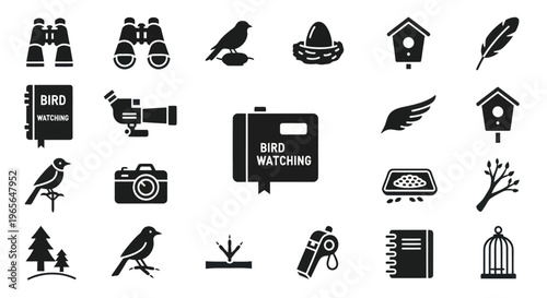 Bird Watching Icons Set, Black  White Glyph Vector Art