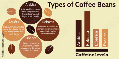 Background Infographic types of coffee beans and various types of coffee processing