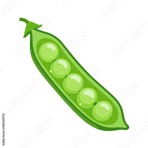 Vector of a pea pod containing five green peas