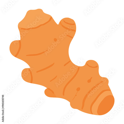 Vector of a ginger root with texture and detail