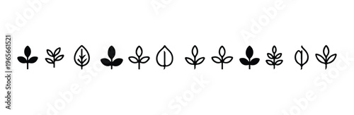 Set of delicate natural icons representing various stylized botanical plant leaf silhouettes