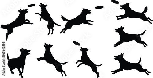 “Silhouette vector illustration of dogs playing with frisbee, jumping and running pets in motion, active canine agility sport outdoor design”