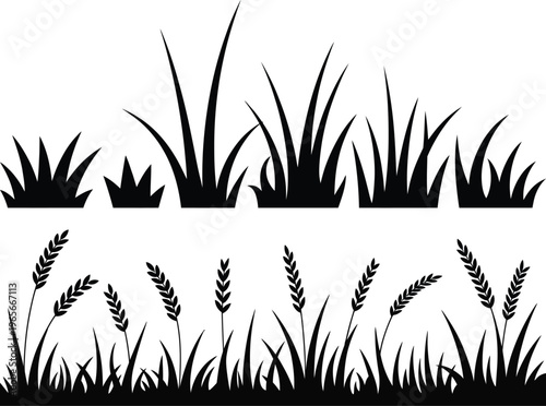 Contrast between tall grasses and mature wheat stalks in black and white silhouette