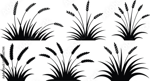 Six distinct black and white wheat stalk illustrations with varying densities and orientations
