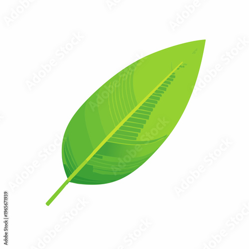 Fresh and vibrant green leaf illustration representing organic growth and natural beauty in a stylized design