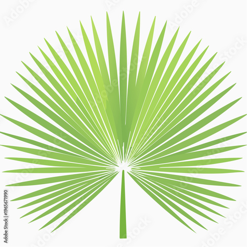 Vibrant Green Tropical Palm Leaf Illustration for Nature-Inspired Designs and Exotic Summer Themes