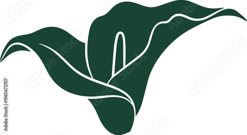 Elegant dark green calla lily vector illustration, minimalist floral design element, sophisticated botanical graphic for wedding invitations and branding