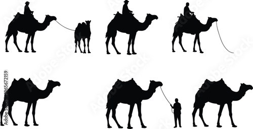 Camel silhouettes with people riding, leading, and standing, desert travel vector illustration set, nomadic lifestyle, caravan animals, black silhouettes