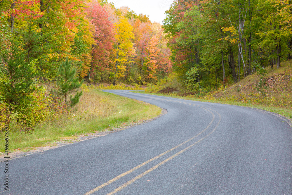 Fototapeta premium 64795-00803 Road in fall, Alger County, Upper Peninsula, MI