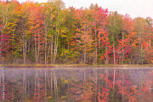 Cuadro en lienzo 64776-02010 Thornton Lake in fall color Alger Co.  MI