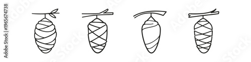 Collection of four distinct chrysalis illustrations hanging from branches