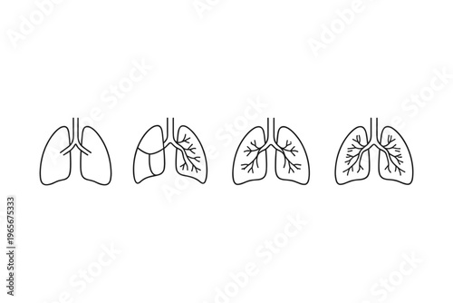 Set of stylized lung diagrams showing progression from simple to detailed anatomy