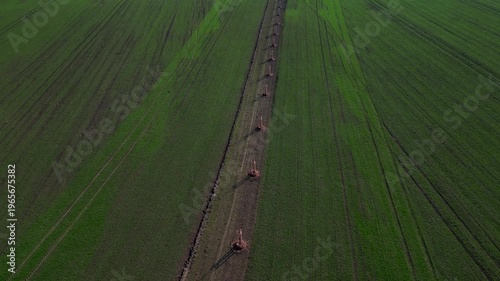 young trees in landscape. planted in row along path or field edge. protected by wooden structure with stakes, support protect it from wildlife or damage from machinery. Landscape windbreak, increases 
