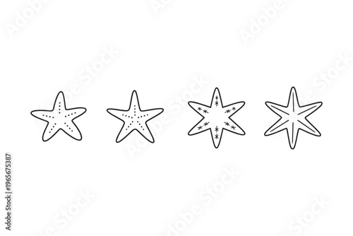 Collection of four stylized starfish illustrations with varying arm counts and details