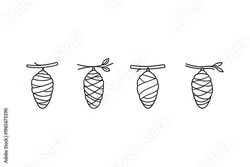 Four simple line drawings of cocoons hanging from branches
