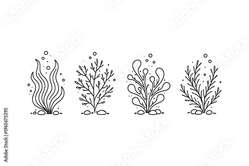 Collection of stylized underwater plants and seaweed in a simple line art style