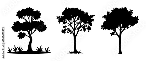 Garden tree icon set with solid black silhouette on white background featuring tree, leaves, trunk, foliage with minimalist line art and graphic design
