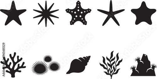 Black and white floral and star patterns isolated on white background floral pattern