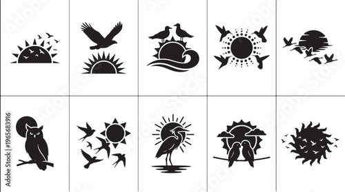 Black and white of various birds perched on branches and flying crow eagle parrot