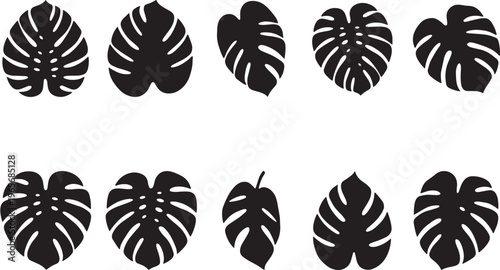 Black floral with petals arranged in circular patterns isolated on white background flowers